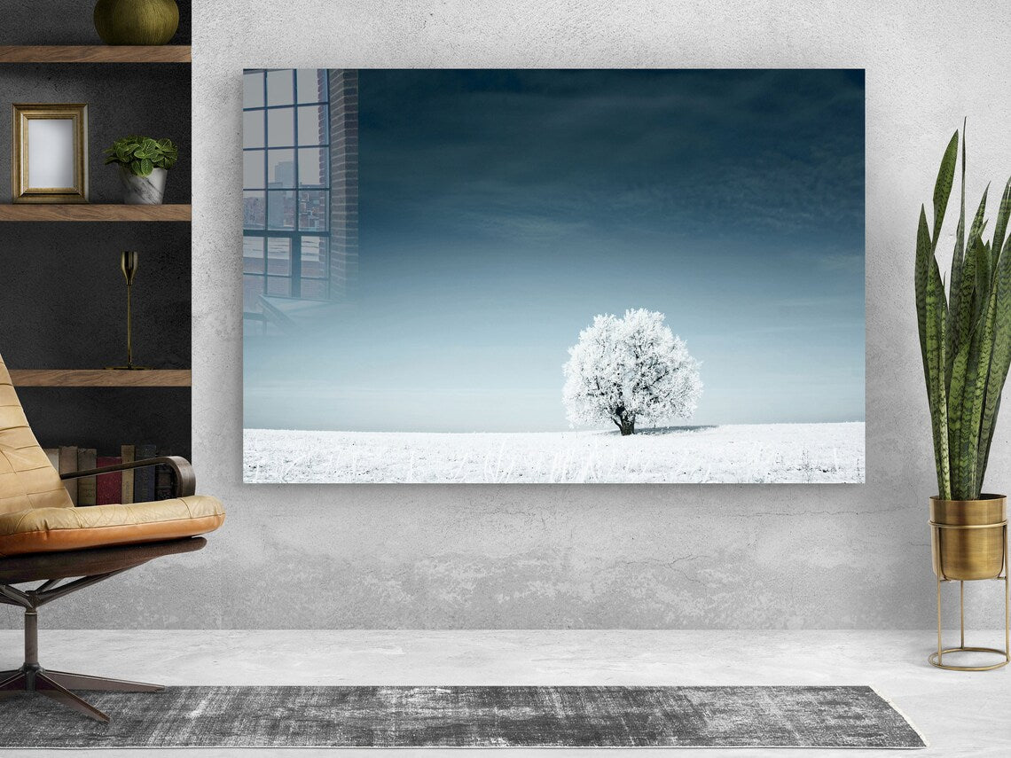 Snow Covered Alone Tree Print Tempered Glass Wall Art 100% Made in Australia Ready to Hang