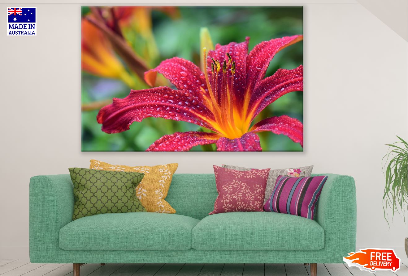 Red Lilly Flower Closeup Photograph Print 100% Australian Made