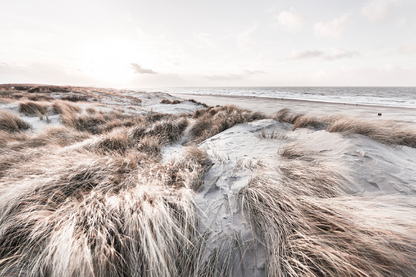 Grass On Sea Shore & Skyline View Print 100% Australian Made