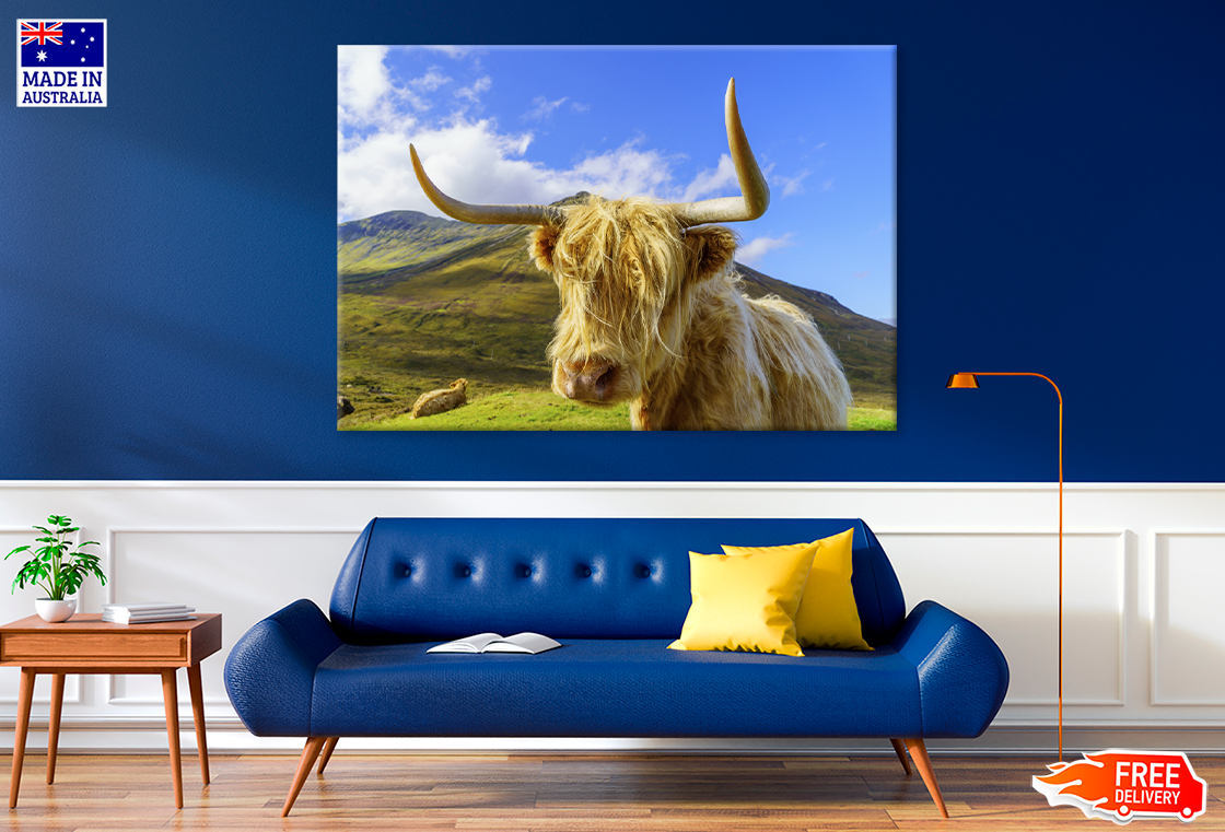 Highland Cow & Mountain View Photograph Print 100% Australian Made