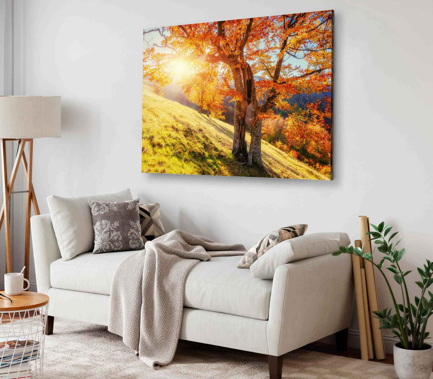 Bella Home Grass Field & Autumn Tree Sunset Print Canvas Ready to hang