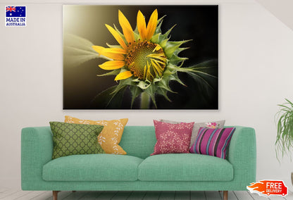 Sunflower Closeup View Photograph Print 100% Australian Made