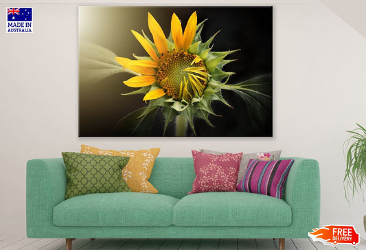Sunflower Closeup View Photograph Print 100% Australian Made