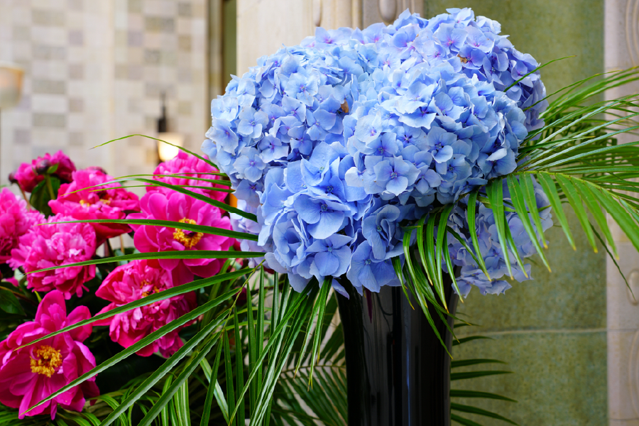 Blue & Pink Flowers Closeup Photograph Print 100% Australian Made