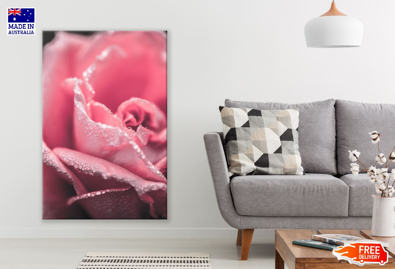 Rose Pink Flower Petals Closeup Photograph Print 100% Australian Made
