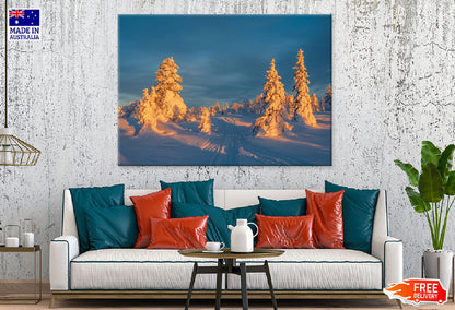 Snow Covered Fir Trees Sunrise Photograph Print 100% Australian Made