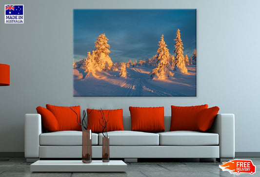 Snow Covered Fir Trees Sunrise Photograph Print 100% Australian Made