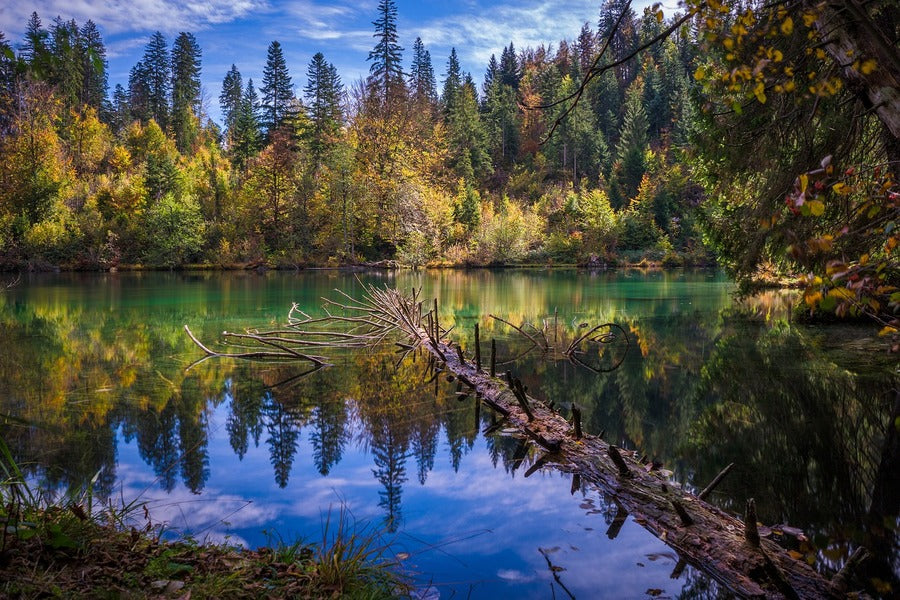 Autumn Forest Sky Lake Water Nature Photograph Print 100% Australian Made