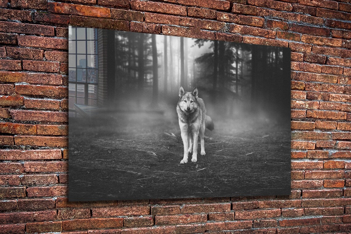 Wolf in Forest B&W Print Tempered Glass Wall Art 100% Made in Australia Ready to Hang