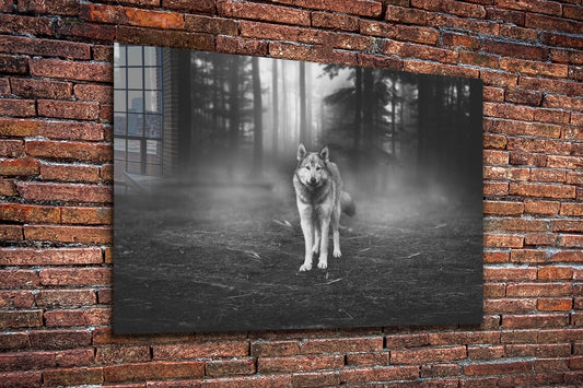 Wolf in Forest B&W Print Tempered Glass Wall Art 100% Made in Australia Ready to Hang