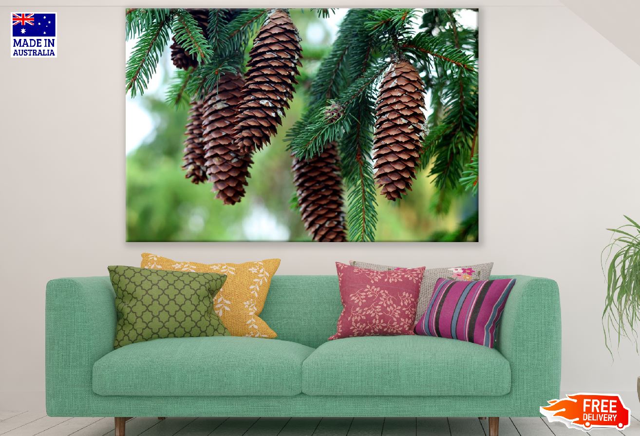 Brown Pine Cones Photograph Print 100% Australian Made