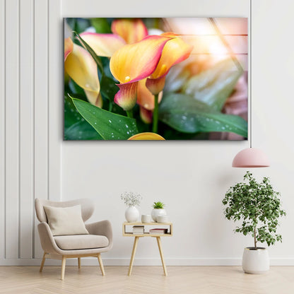 Flowers Closeup Photograph Acrylic Glass Print Tempered Glass Wall Art 100% Made in Australia Ready to Hang