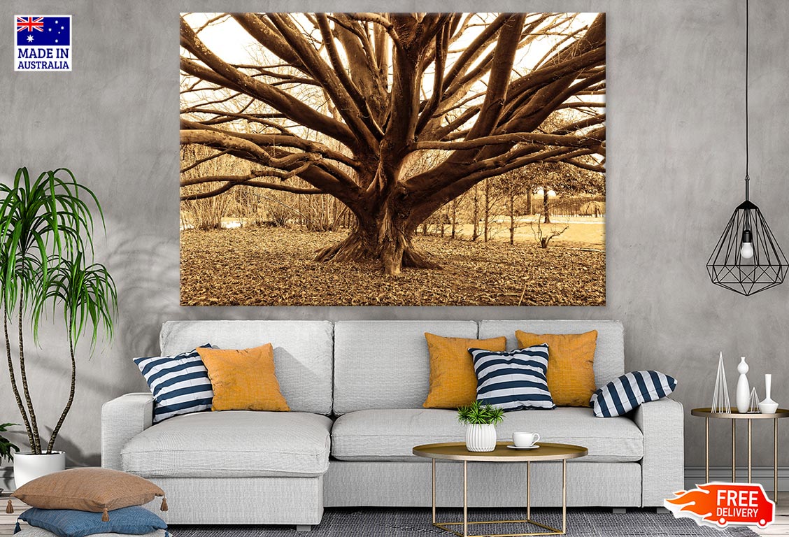 Huge Tree Closeup Photograph Print 100% Australian Made