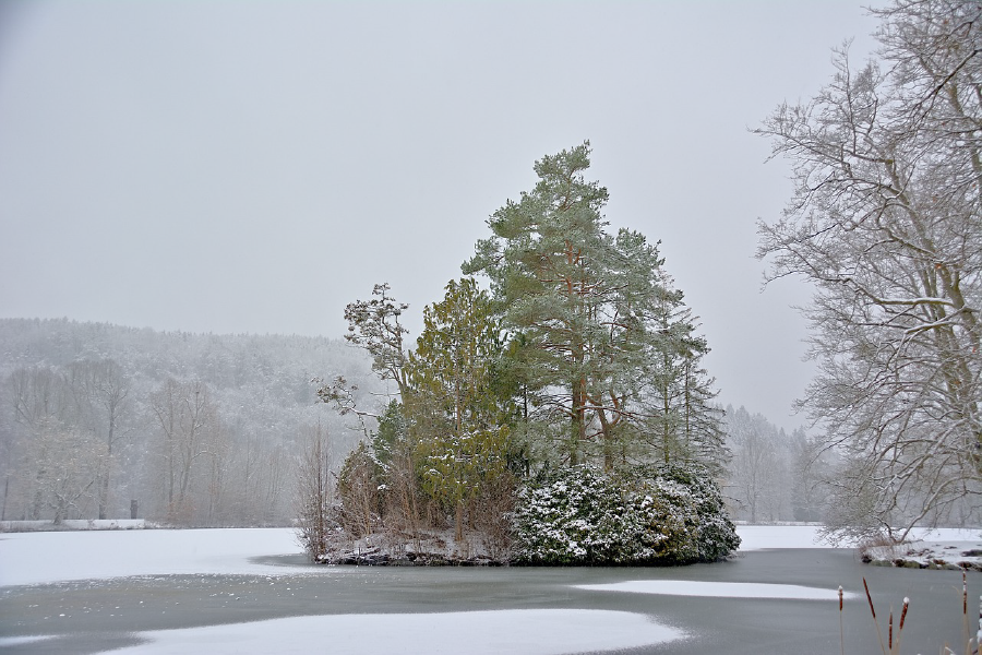 Snow Covered Trees & Bushes Photograph Print 100% Australian Made