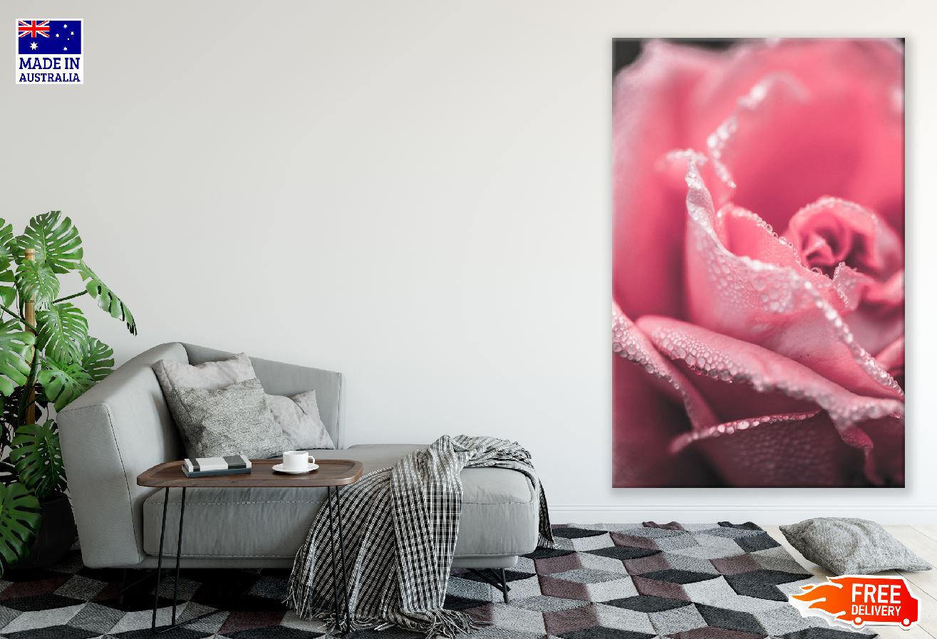 Rose Pink Flower Petals Closeup Photograph Print 100% Australian Made