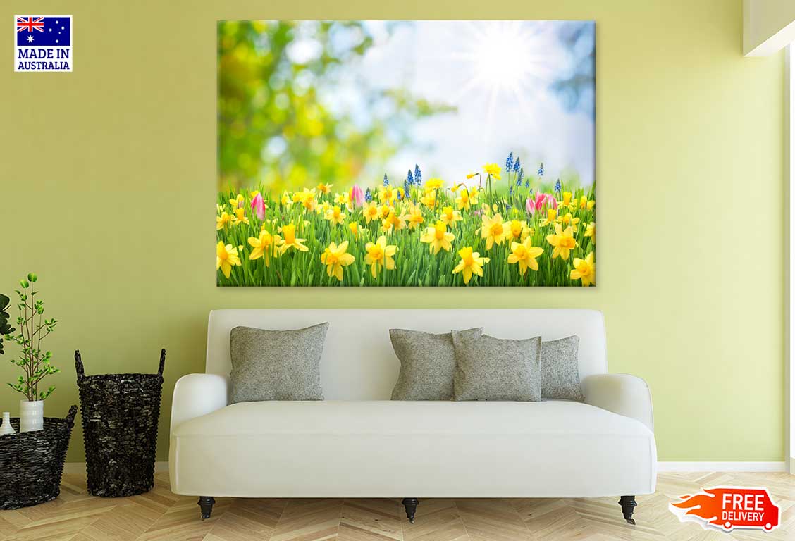 Yellow Daffodil Flowers View Photograh Print 100% Australian Made