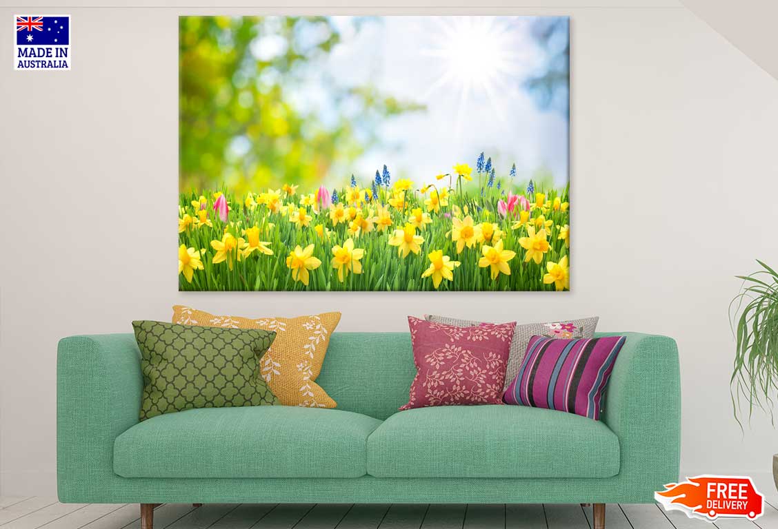 Yellow Daffodil Flowers View Photograh Print 100% Australian Made