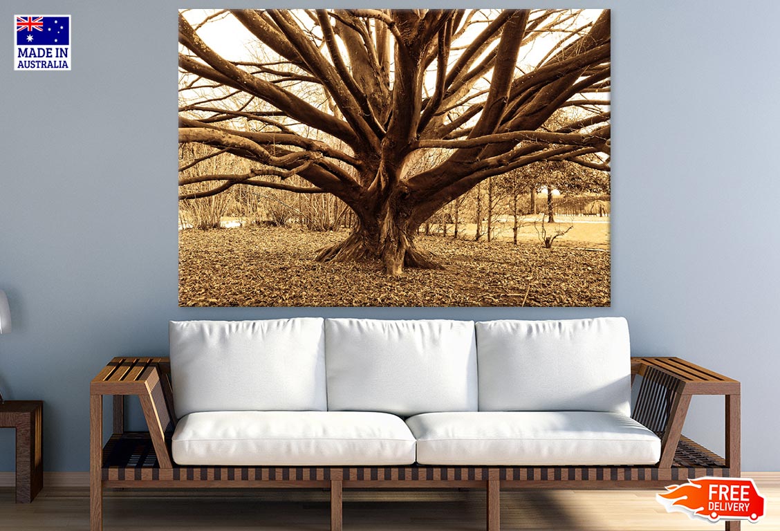 Huge Tree Closeup Photograph Print 100% Australian Made