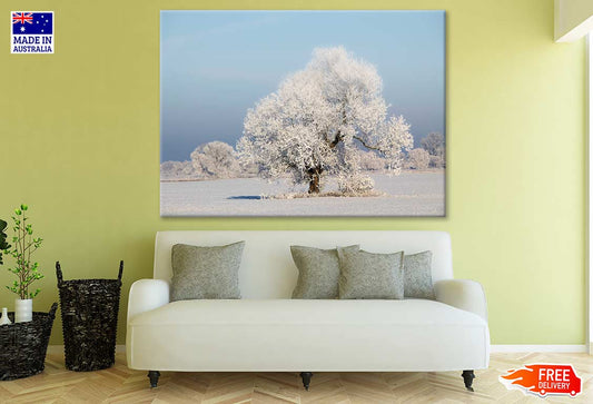 Snow Covered Trees Photograph Print 100% Australian Made