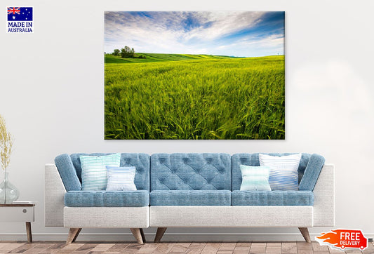Countryside Field Sunny Day View Photograph Print 100% Australian Made