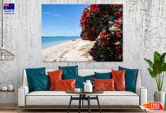 Red Flower Tree Near Sea View Photograph Print 100% Australian Made