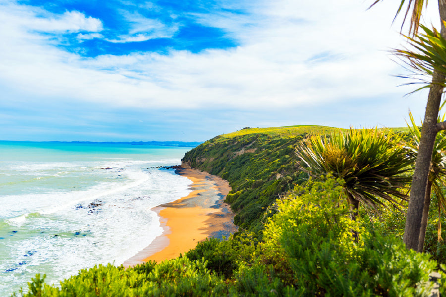 View of Koyokokha Beach in Otago Region Print 100% Australian Made