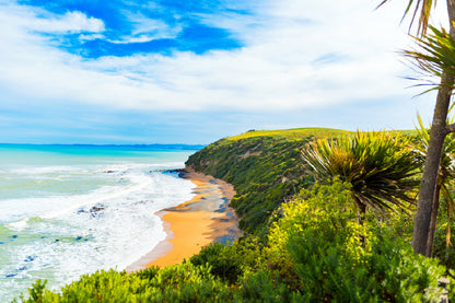 View of Koyokokha Beach in Otago Region Print 100% Australian Made