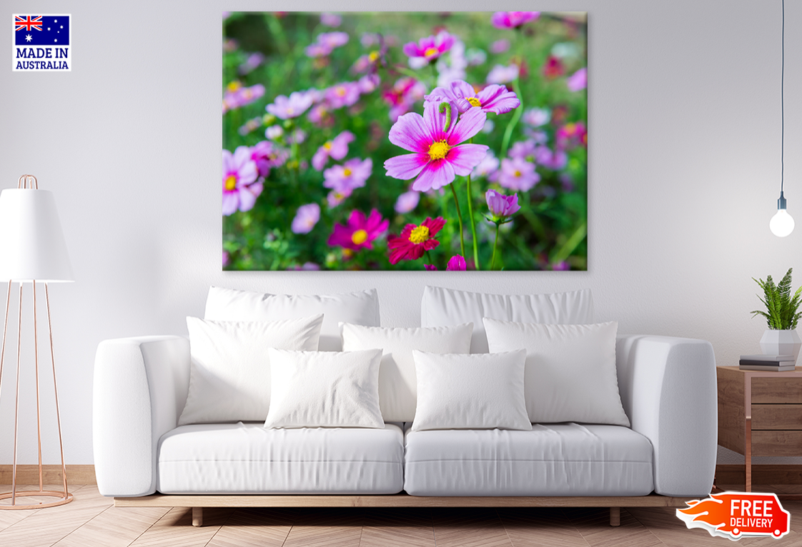 Pink Flowers Closeup Photograph Print 100% Australian Made