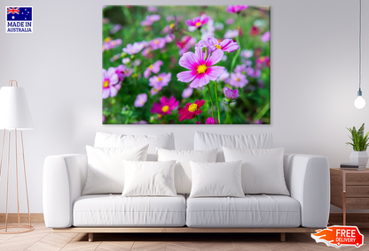 Pink Flowers Closeup Photograph Print 100% Australian Made