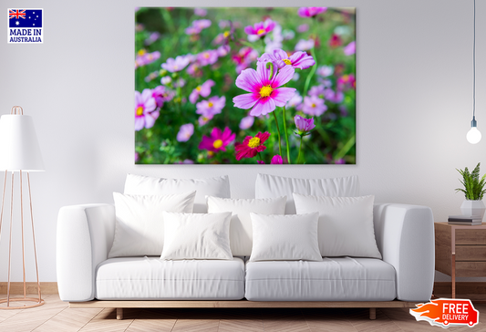 Pink Flowers Closeup Photograph Print 100% Australian Made