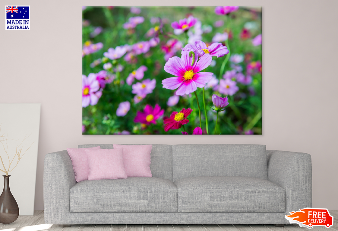 Pink Flowers Closeup Photograph Print 100% Australian Made