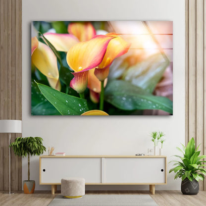 Flowers Closeup Photograph Acrylic Glass Print Tempered Glass Wall Art 100% Made in Australia Ready to Hang