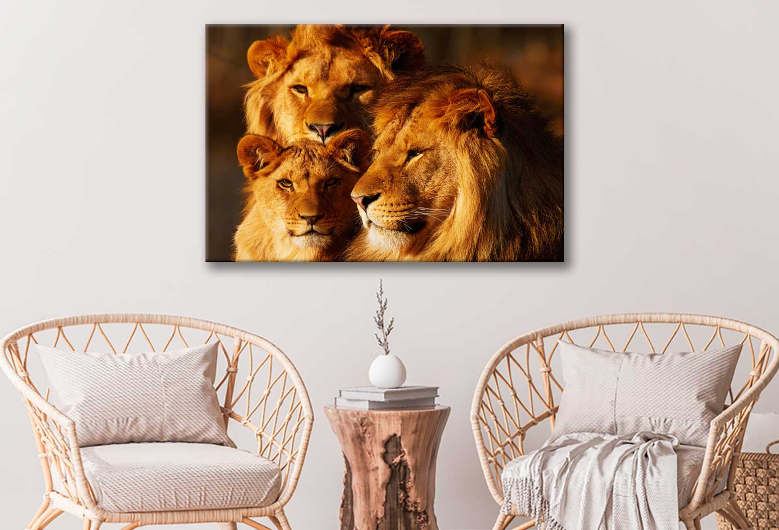 Bella Home Lion Family Closeup Photograph Print Canvas Ready to hang