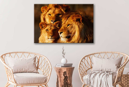 Bella Home Lion Family Closeup Photograph Print Canvas Ready to hang