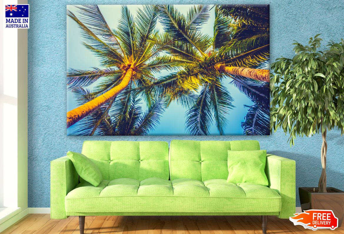 Tall Palm Trees Photograph Print 100% Australian Made