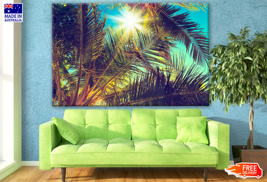 Stunning Sun View Through Palm Trees Photograph Print 100% Australian Made