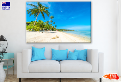 Stunning Beach with Palm Trees Photograph Print 100% Australian Made