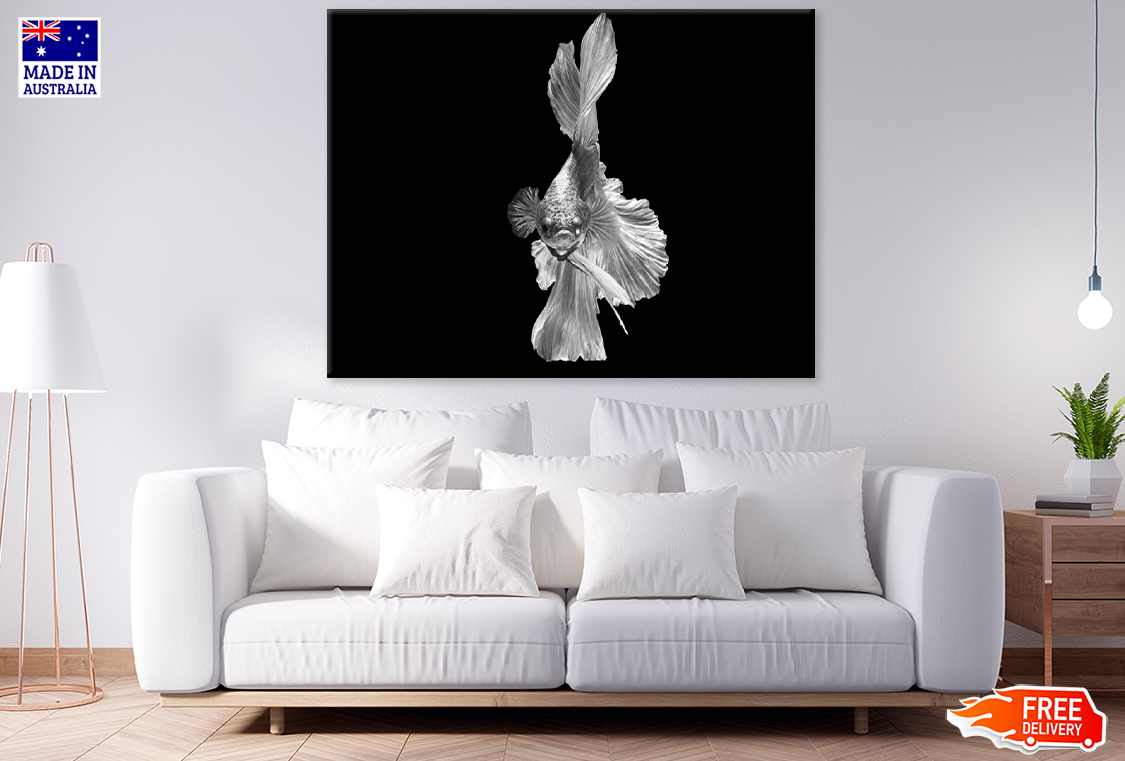 B&W Fish Photograph Print 100% Australian Made