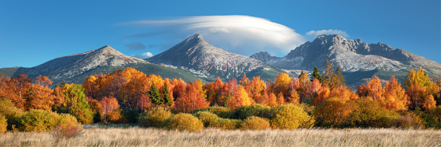 Panoramic Canvas Mountain & Forest Scenery Photograph High Quality 100% Australian made wall Canvas Print ready to hang