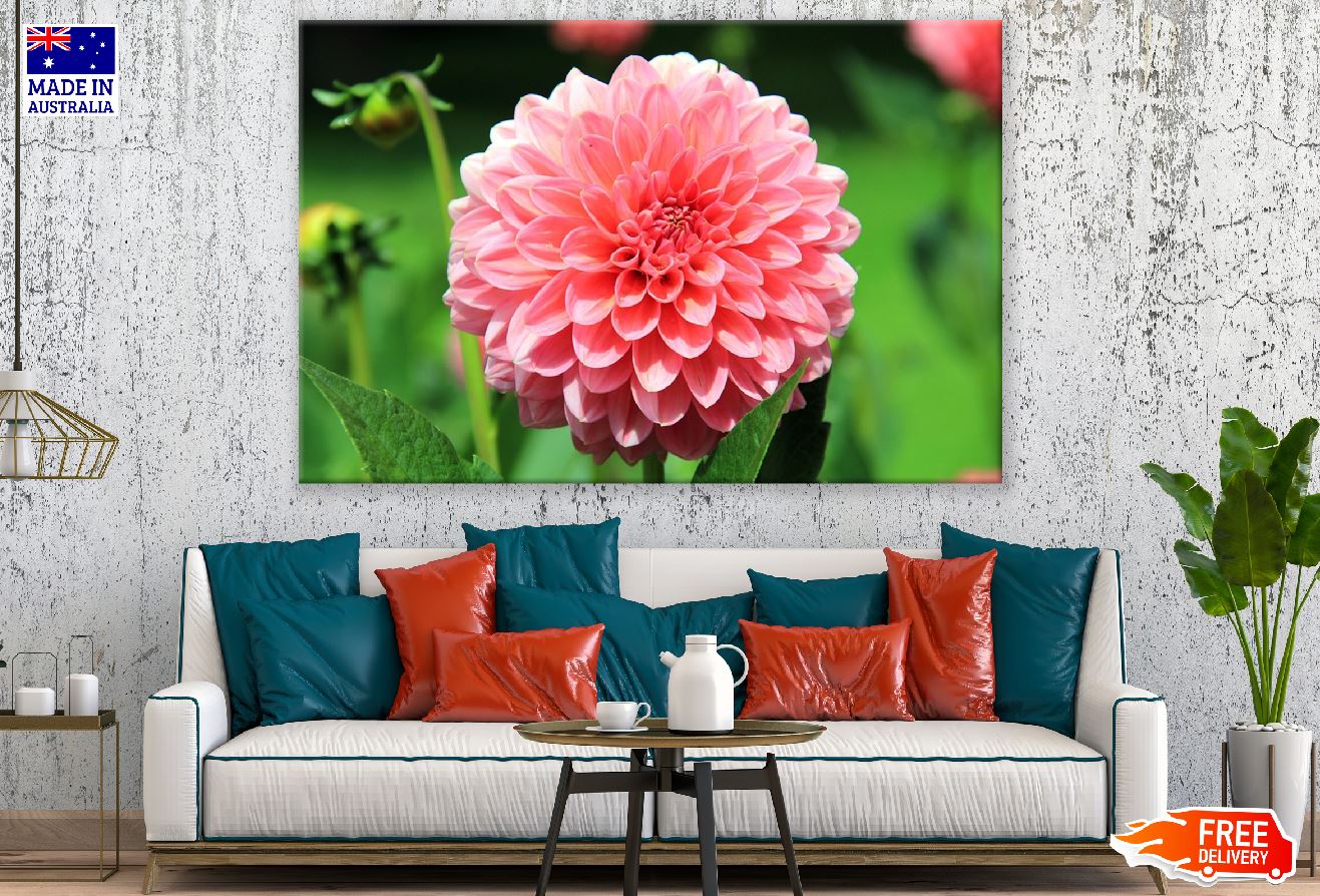 Dahlia Flower Closeup Photograph Print 100% Australian Made