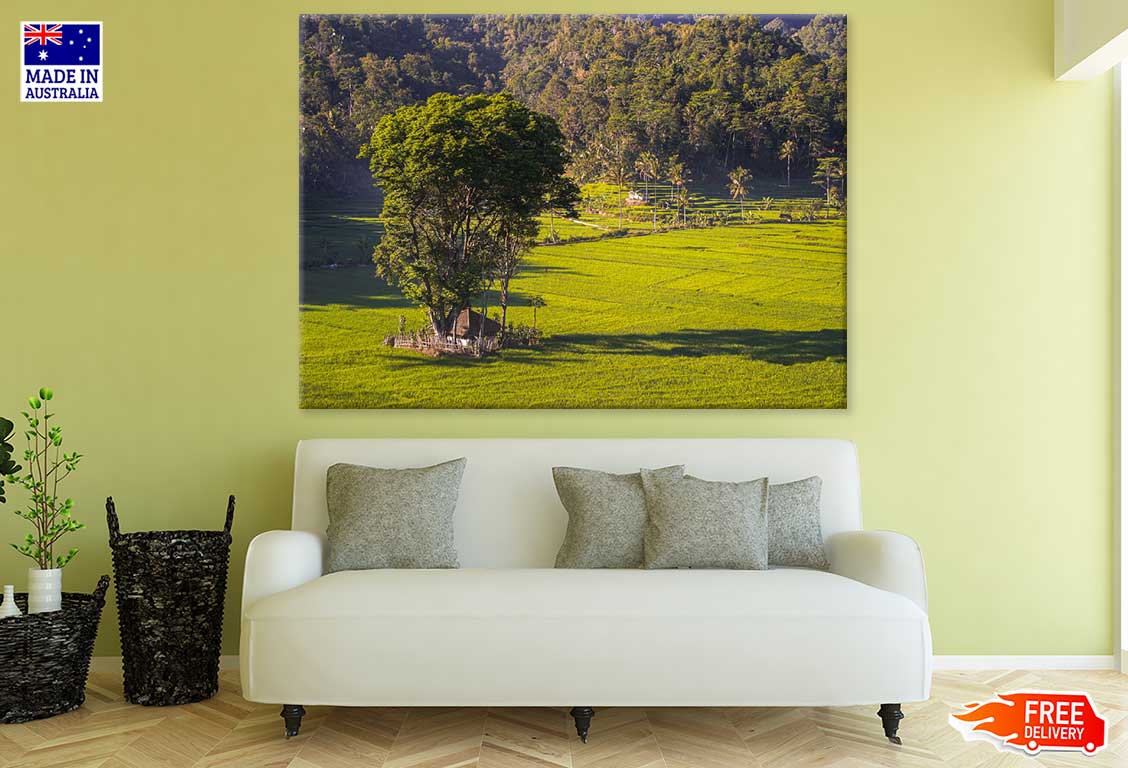 House & Huge Tree on Grass Field with Forest Scenery View Photograph Print 100% Australian Made