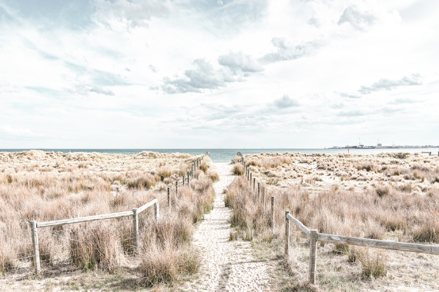 Sandy Path & Sea In Australia Print 100% Australian Made