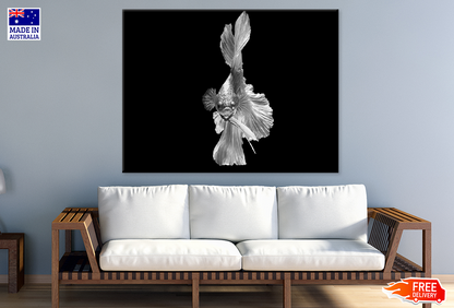 B&W Fish Photograph Print 100% Australian Made