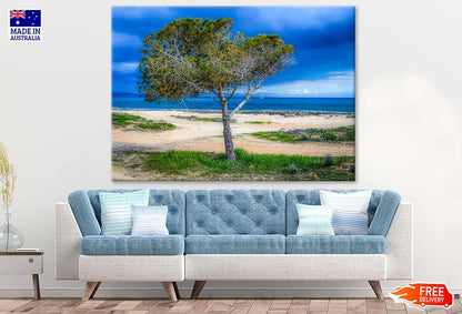 Tree & Sea Scenery Photograph Print 100% Australian Made