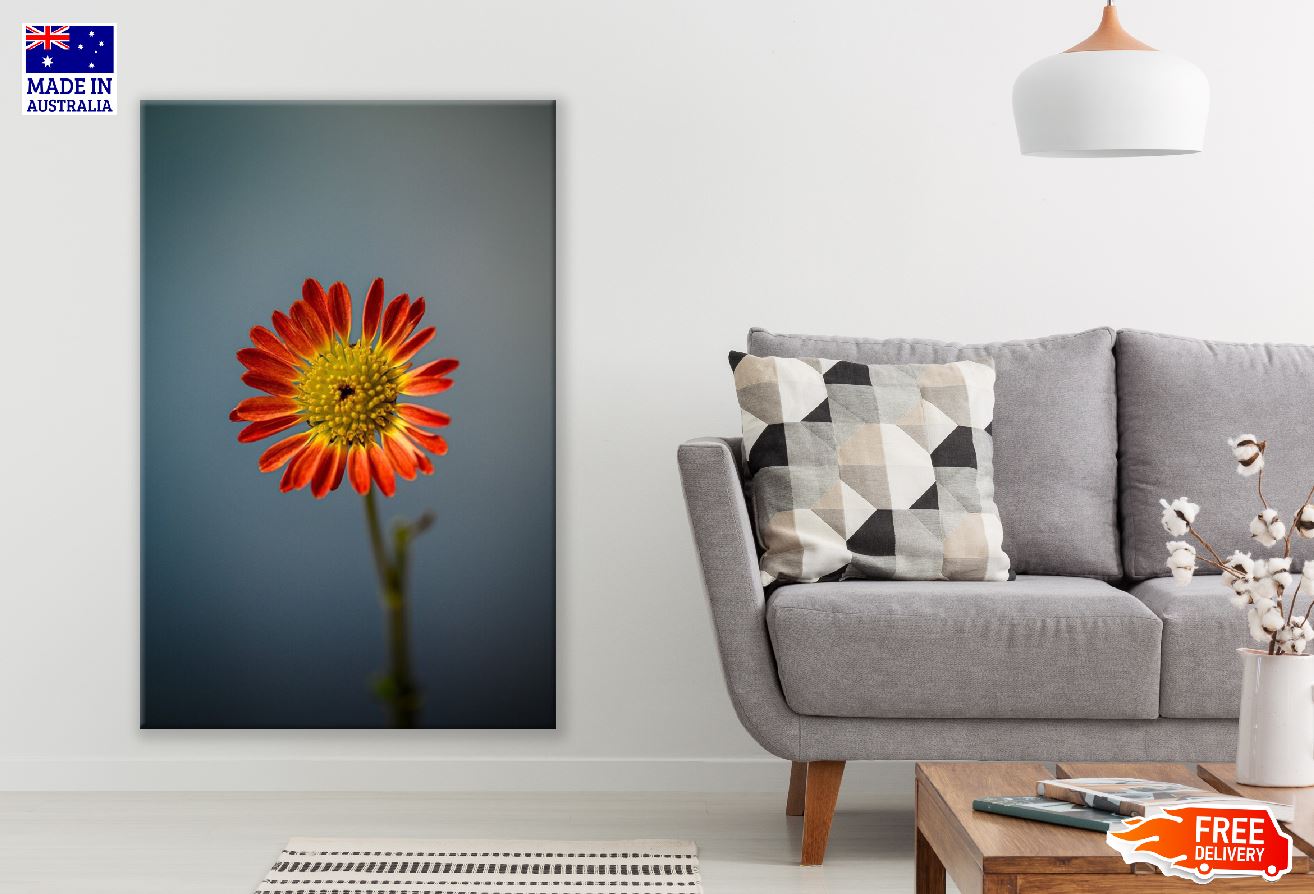 Red Gerbera Flower Closeup Photograph Print 100% Australian Made