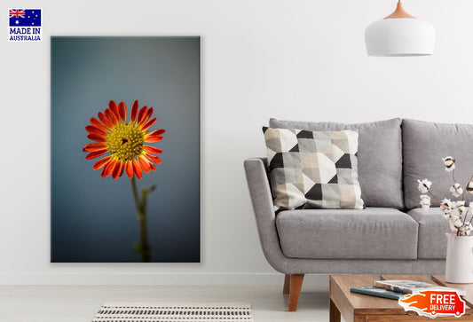 Red Gerbera Flower Closeup Photograph Print 100% Australian Made