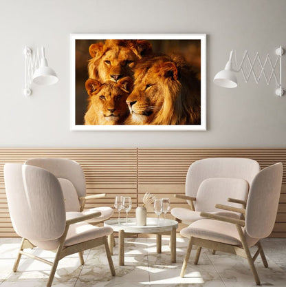Lion Family Closeup Photograph Home Decor Premium Quality Poster Print Choose Your Sizes