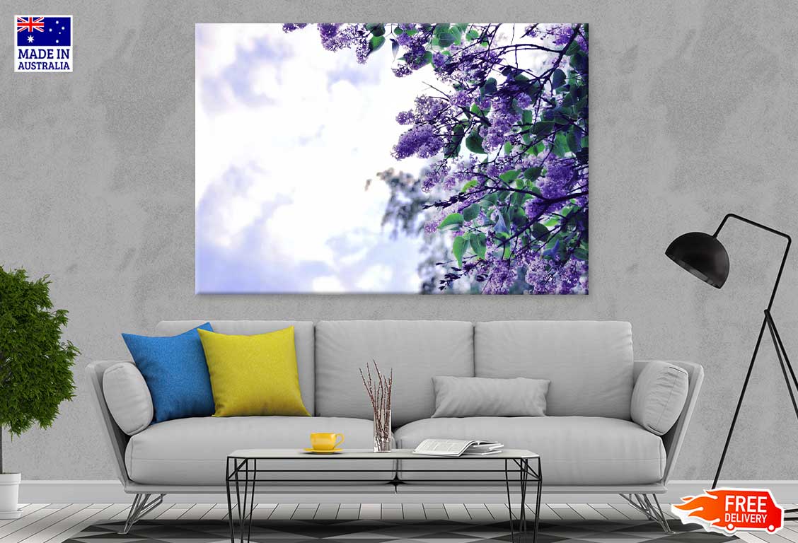 Purple Lilac Flowers Branch View Photograph Print 100% Australian Made