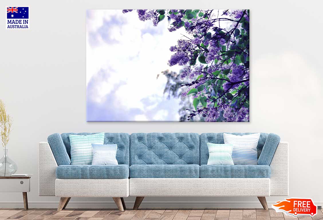 Purple Lilac Flowers Branch View Photograph Print 100% Australian Made