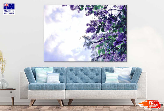 Purple Lilac Flowers Branch View Photograph Print 100% Australian Made